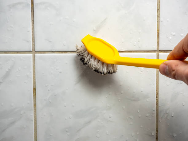 Trusted Stone Ridge, VA Mold Remediation Experts