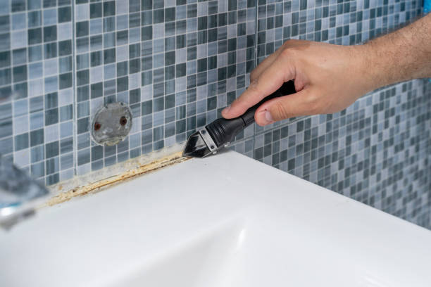 Best Commercial Mold Remediation in Stone Ridge, VA