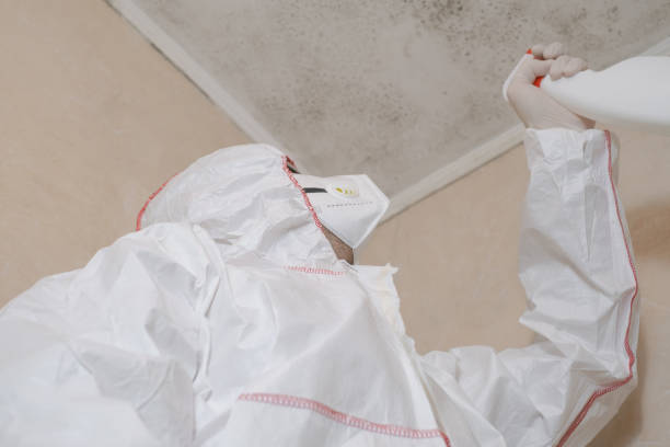 Best Bathroom Mold Remediation in Stone Ridge, VA